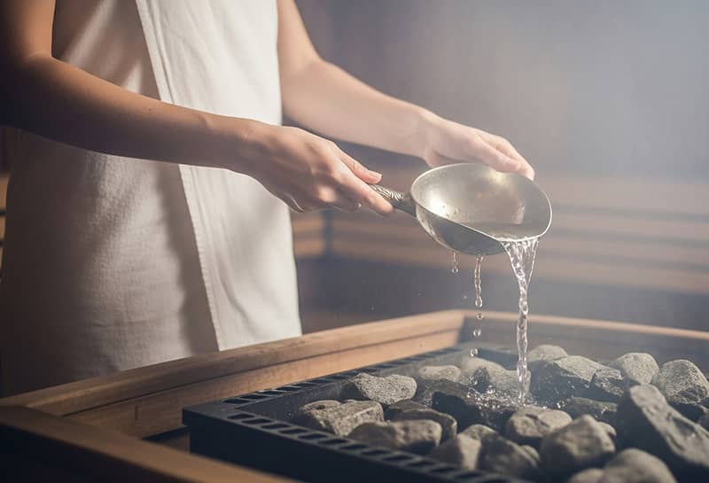 Polo Gartenhäuser Individuelle Gartenhäuser 13